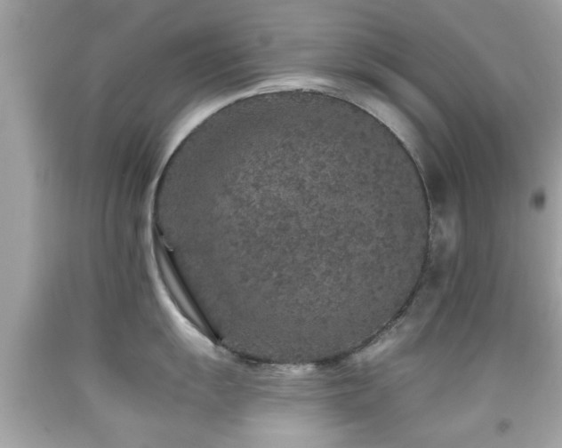 X0000092081055200709121440