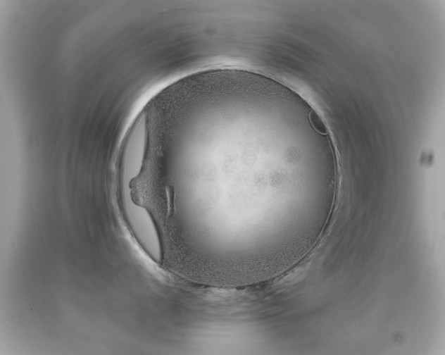 X0000092081056200709121440