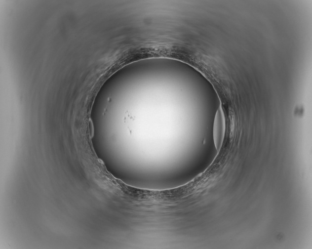 X0000092081057200709121440