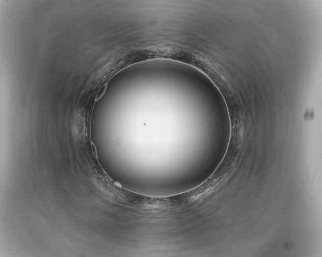 X0000092081058200709121440