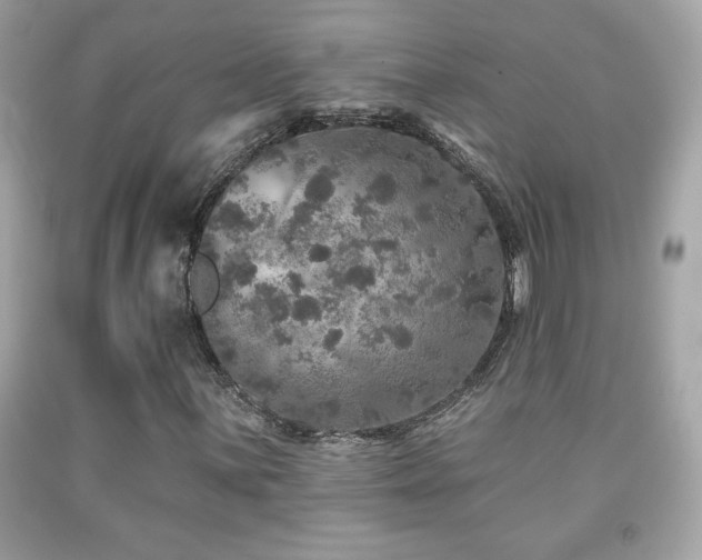 X0000092081059200709121440