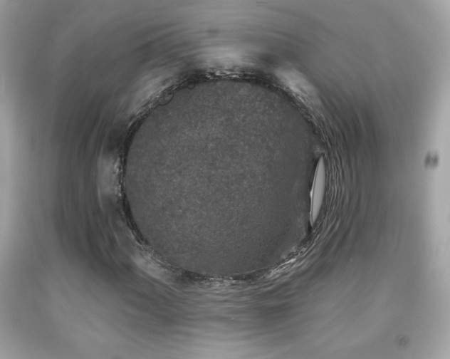 X0000092081060200709121440