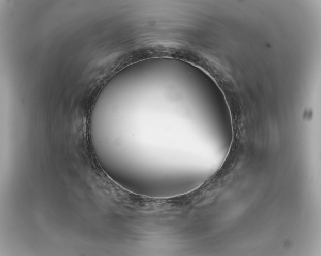 X0000092081061200709121440