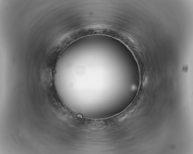 X0000092081062200709121440