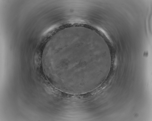 X0000092081063200709121440