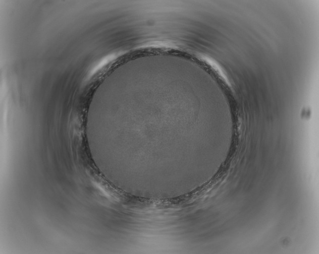 X0000092081064200709121440