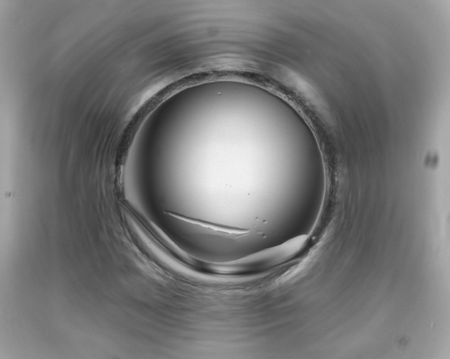X0000092081065200709121440