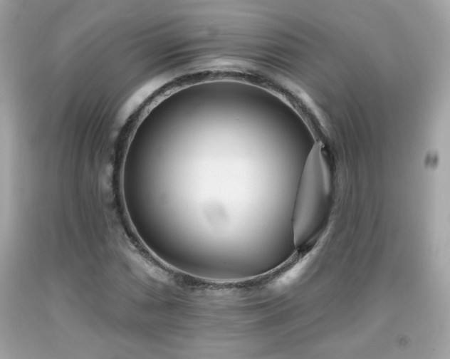X0000092081066200709121440