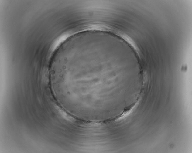 X0000092081067200709121440