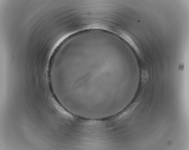 X0000092081068200709121440
