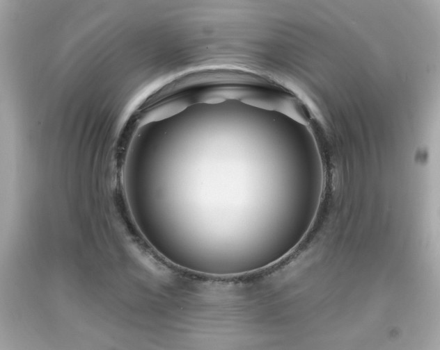 X0000092081069200709121439