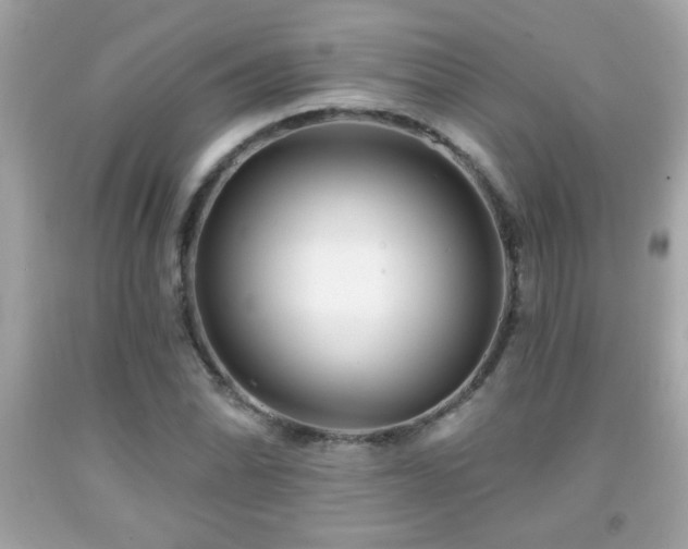 X0000092081070200709121439