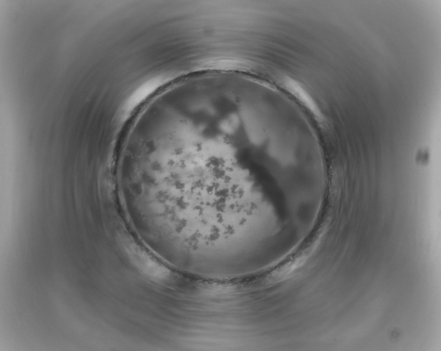 X0000092081071200709121439