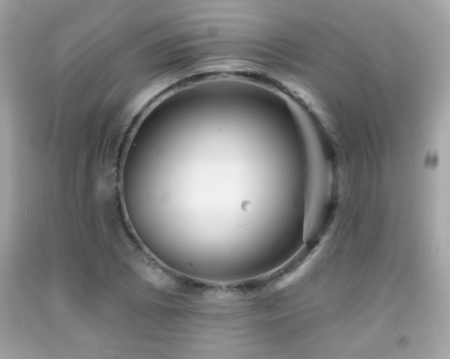 X0000092081073200709121439