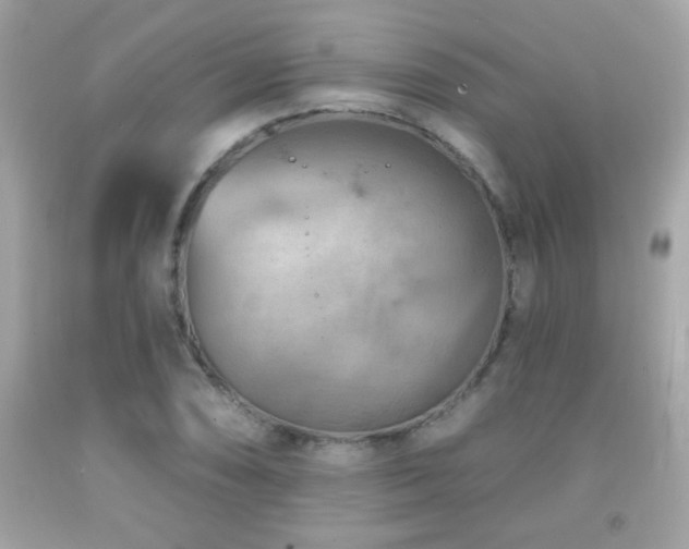 X0000092081074200709121439