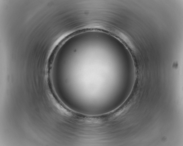 X0000092081076200709121439