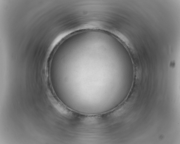 X0000092081078200709121439