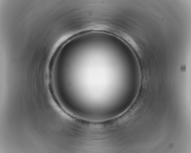 X0000092081080200709121439