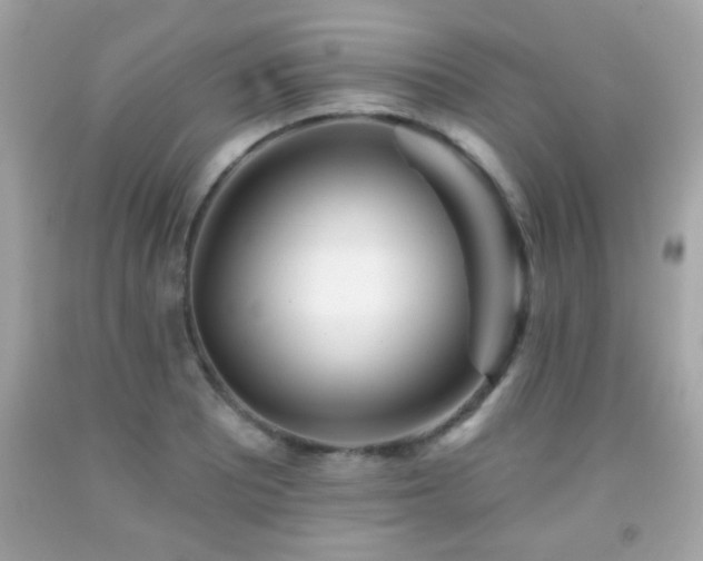X0000092081081200709121439