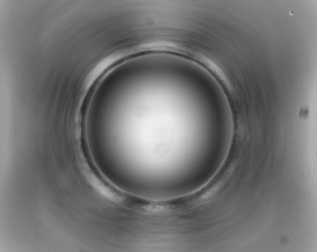 X0000092081082200709121439