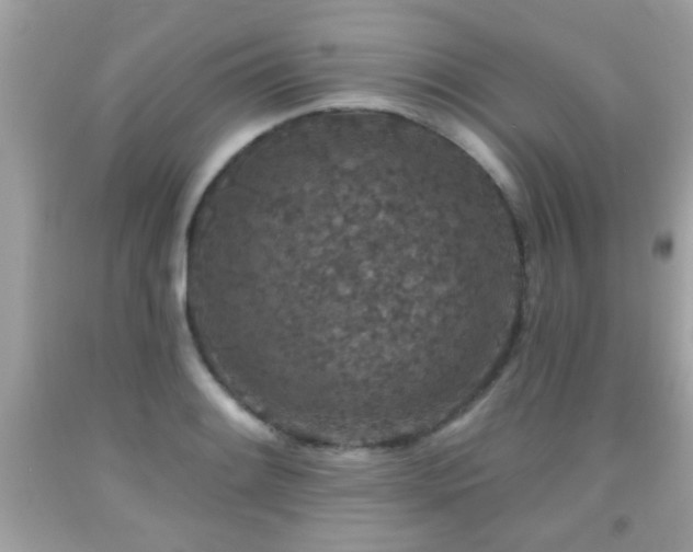 X0000092081084200709121439