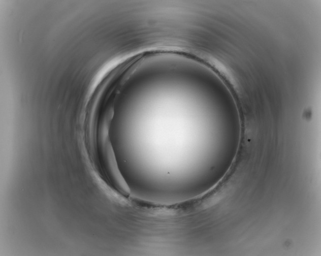 X0000092081085200709121439