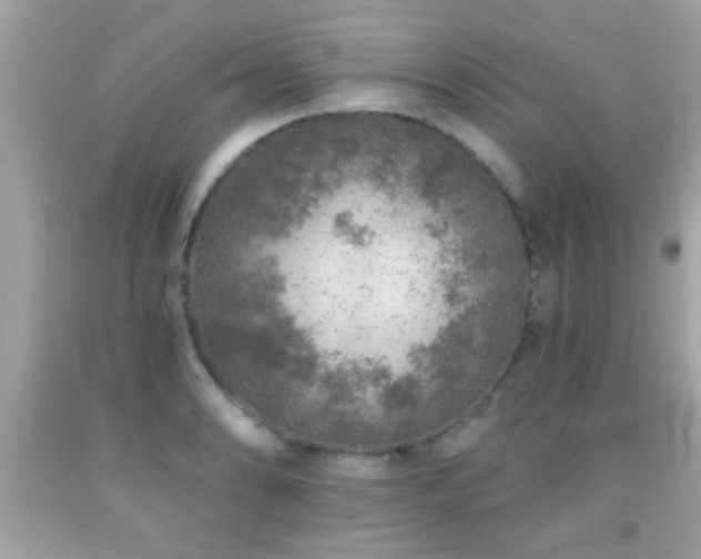X0000092081086200709121439