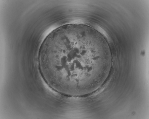 X0000092081087200709121439
