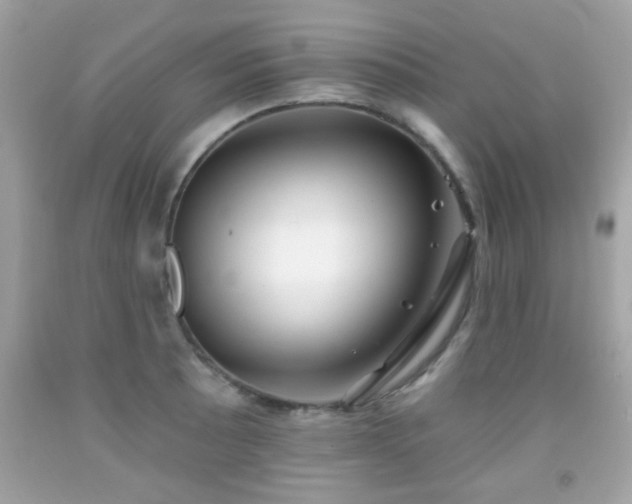 X0000092081089200709121439
