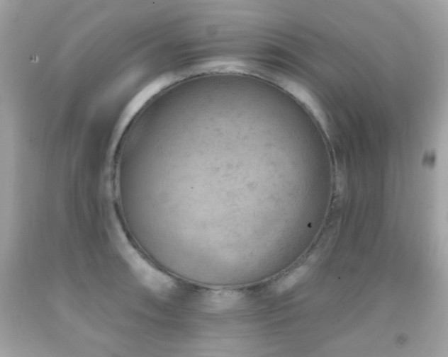 X0000092081090200709121439