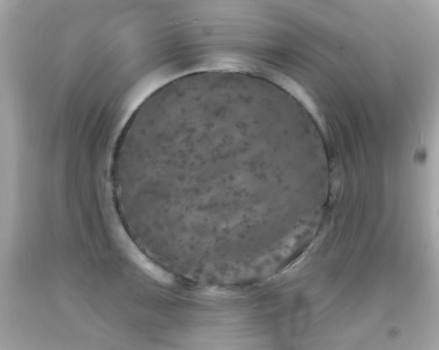 X0000092081091200709121439