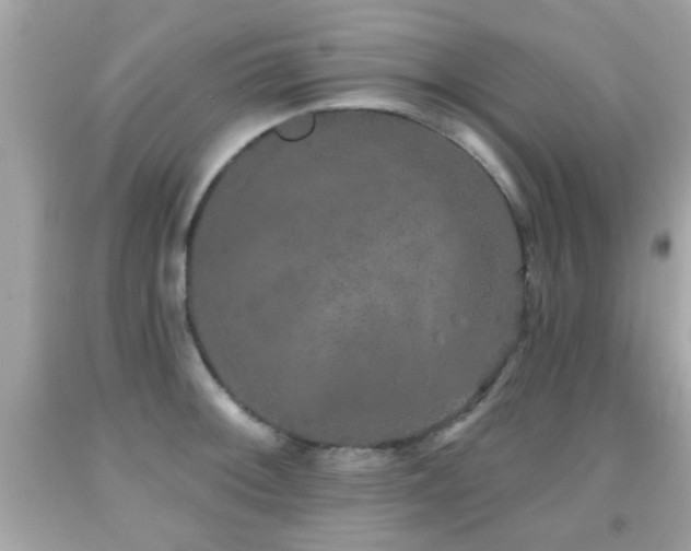 X0000092081092200709121439