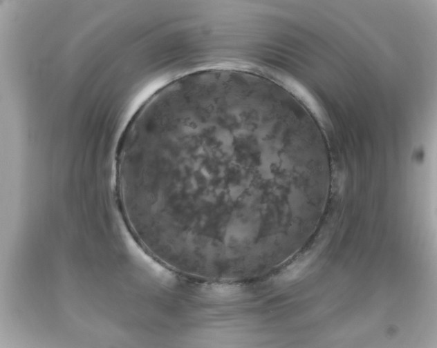 X0000092081095200709121439