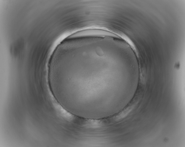X0000092081096200709121439