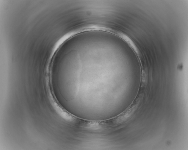 X0000092081098200709121439