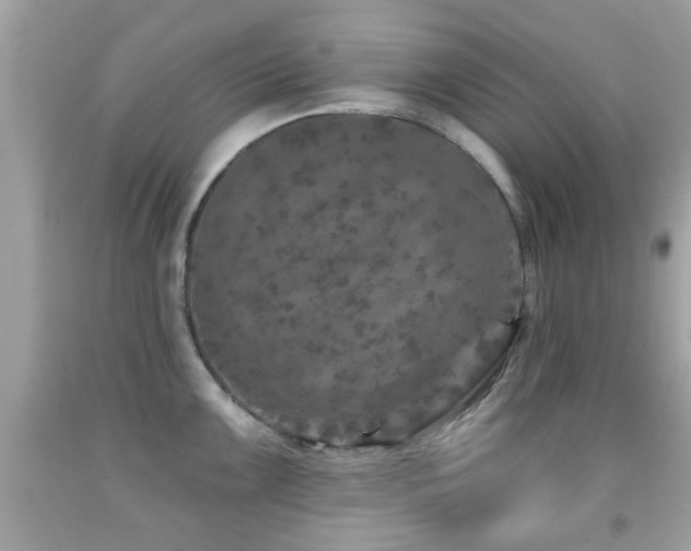 X0000092081099200709121439