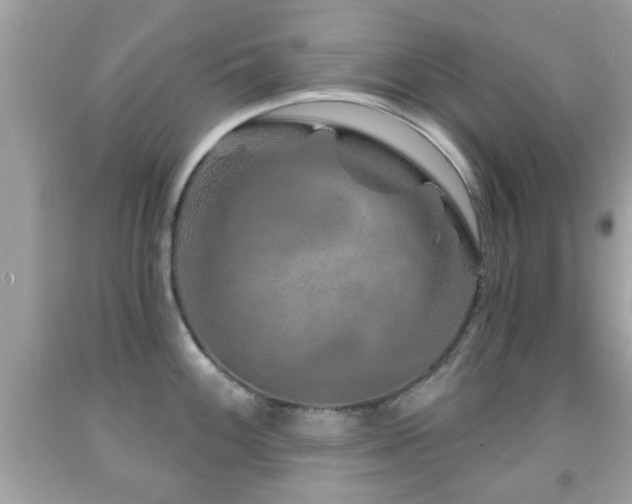 X0000092081100200709121439