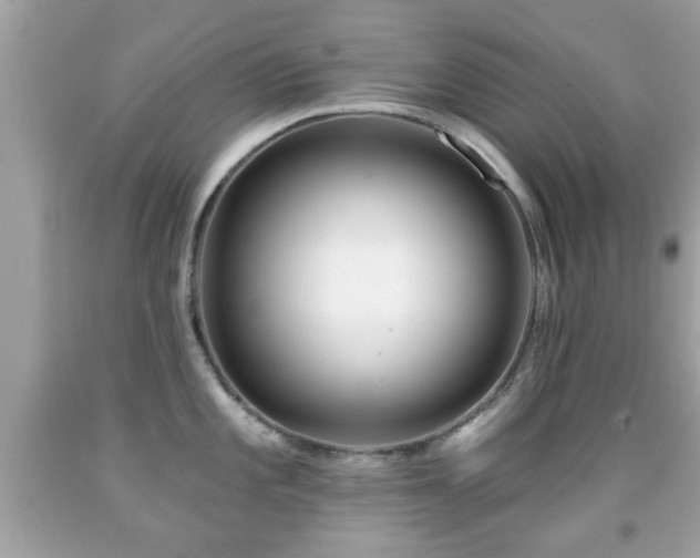 X0000092081101200709121439