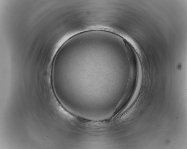 X0000092081102200709121439