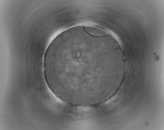 X0000092081103200709121439