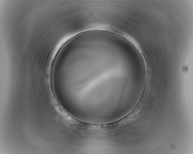 X0000092081104200709121439