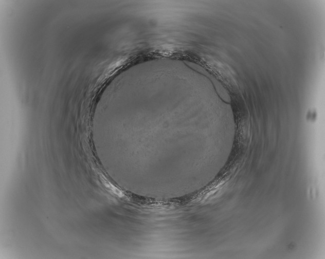 X0000092081105200709121438