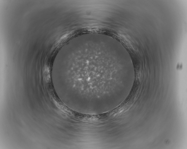 X0000092081106200709121438