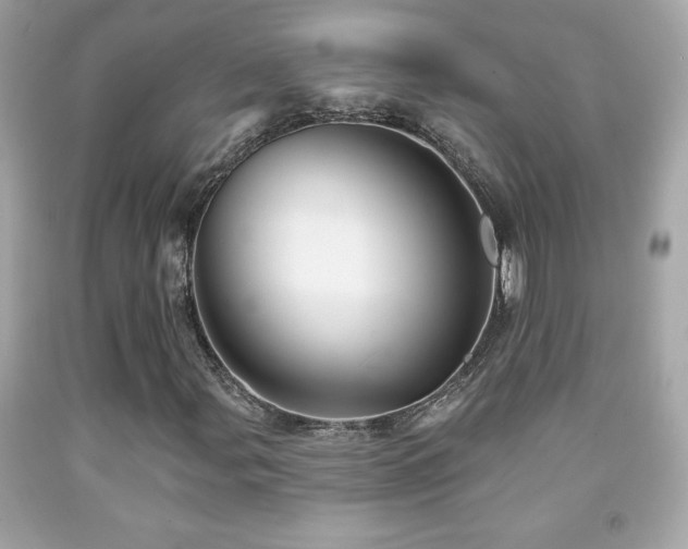 X0000092081107200709121438