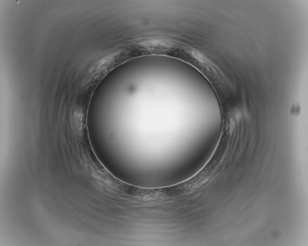 X0000092081108200709121438