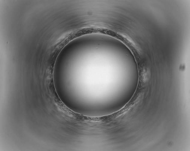 X0000092081110200709121439