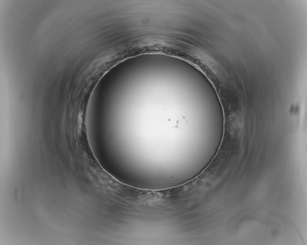 X0000092081111200709121439