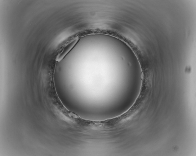 X0000092081112200709121439