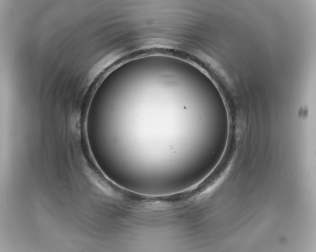 X0000092081113200709121439