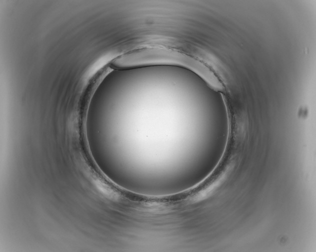 X0000092081114200709121439